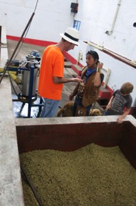 kavos fermentavimo baseinas Sarria ūkyje